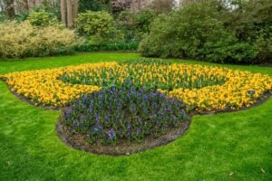 colorful-garden-landscape-and-grassy-lawn-2026-03-16-04-30-35-utc
