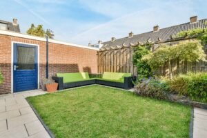 cozy-backyard-with-green-couch-and-grass-lawn-2026-03-18-09-47-03-utc