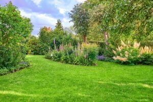 Greenview Landscape is the top Company for Lawn Care Wayland MA with 10 years of experience in patios, outdoor living, lighting, and premium outdoor solutions.