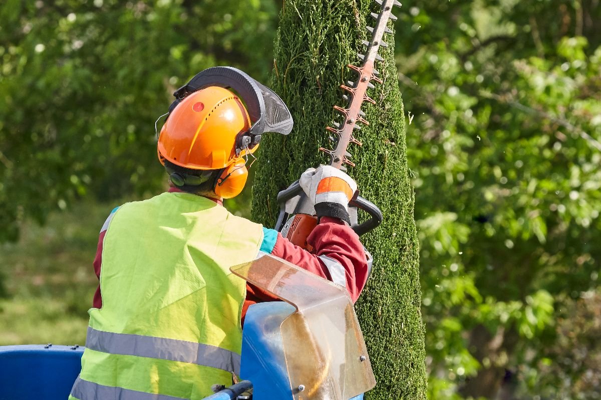 Tree Pruning & Hedge Trimming