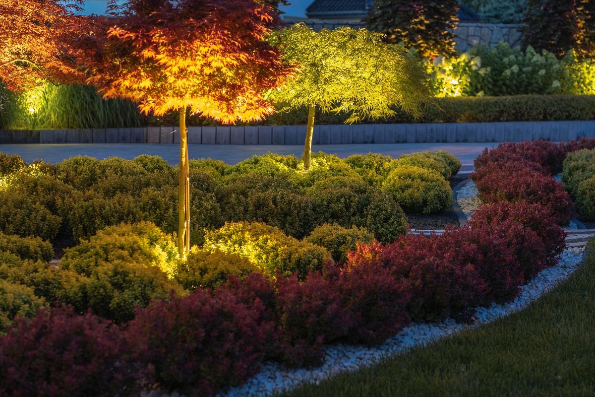 Landscape Lighting Outdoor lighting solutions that improve safety, visibility, and curb appeal.