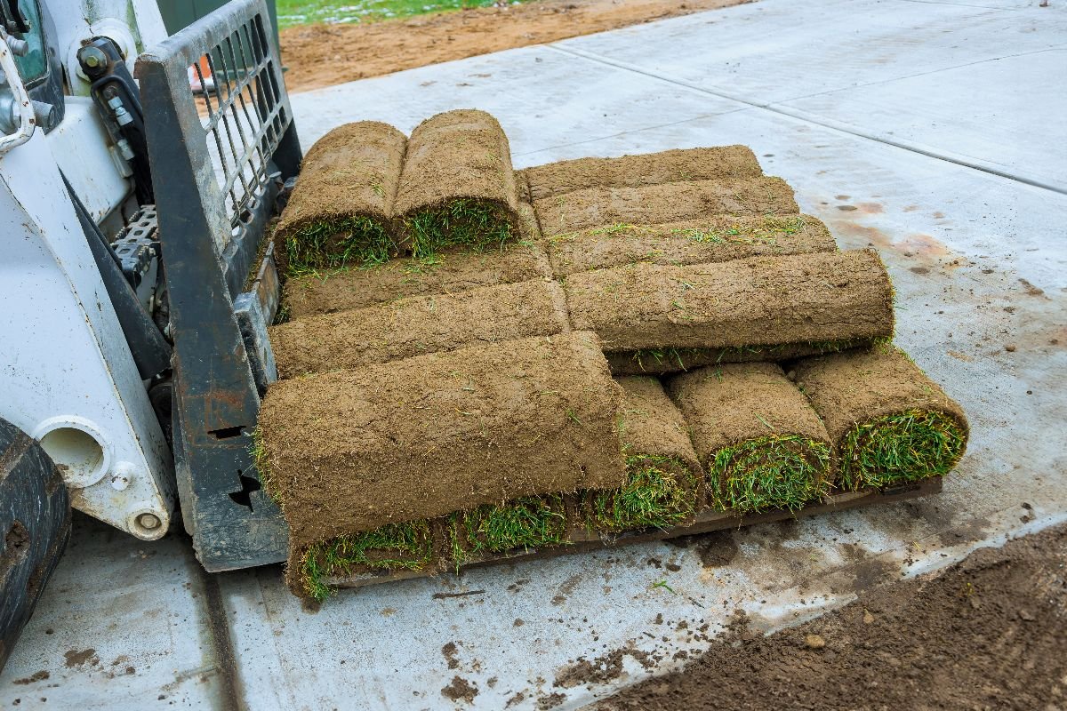 Sod Installation & Grass Seeding We install fresh sod and perform grass seeding services to create lush, green lawns.