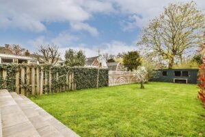 spacious-green-courtyard-2026-03-18-11-02-19-utc