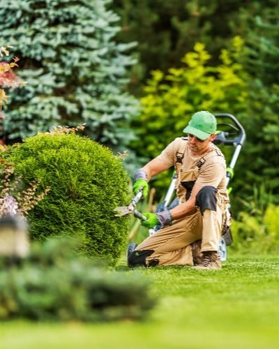 At GreenView Landscape Design, we provide professional landscaping, lawn care, hardscaping, and outdoor living solutions for residential and commercial properties across Massachusetts.